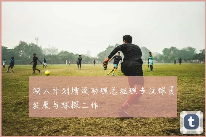 湖人计划增设助理总经理专注球员发展与球探工作