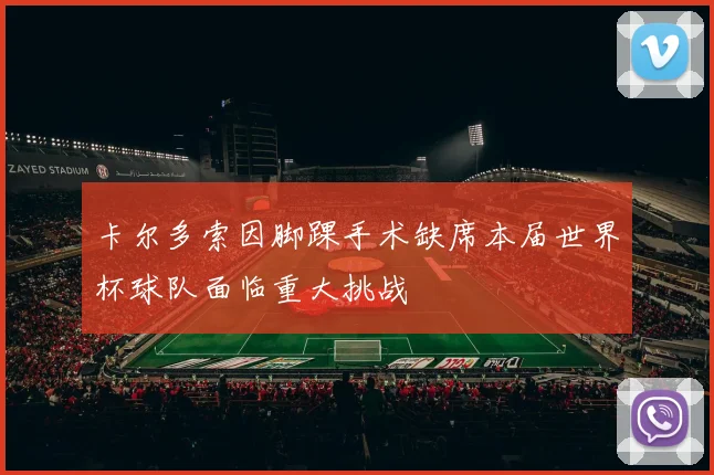 卡尔多索因脚踝手术缺席本届世界杯球队面临重大挑战